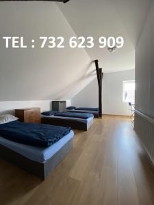 Niepołomice hostele