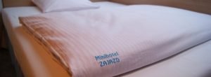 Minihotel Zajazd
